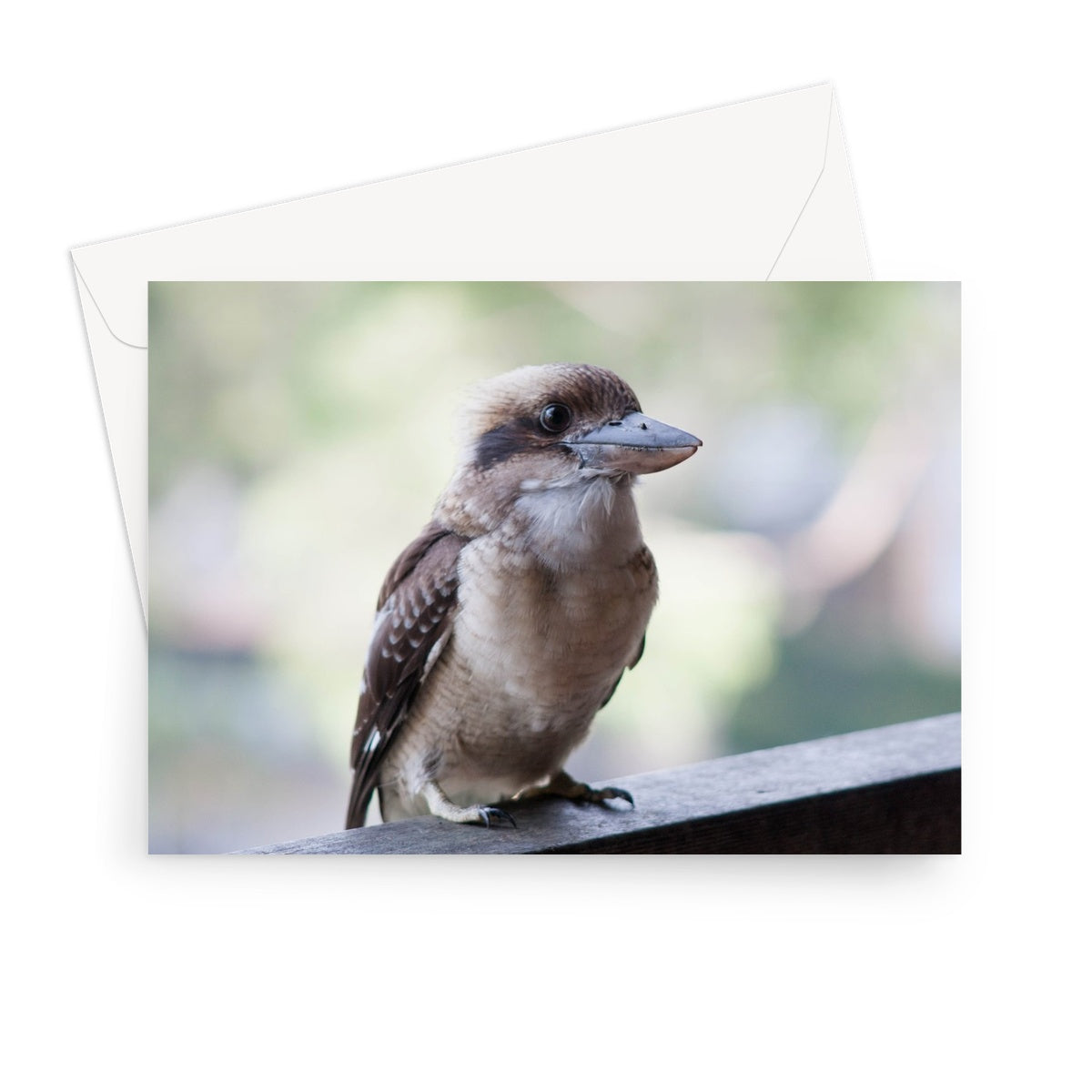 Kooka Cards Greeting Card