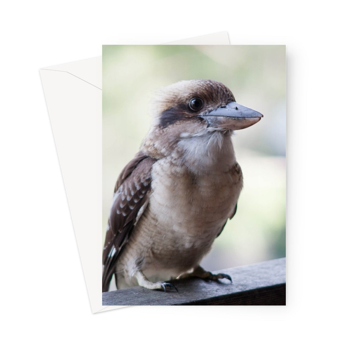 Kooka Cards Greeting Card