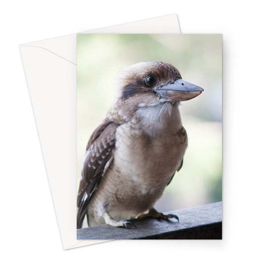 Kooka Cards Greeting Card